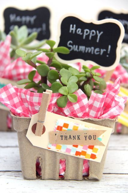 Thank you plant for teacher