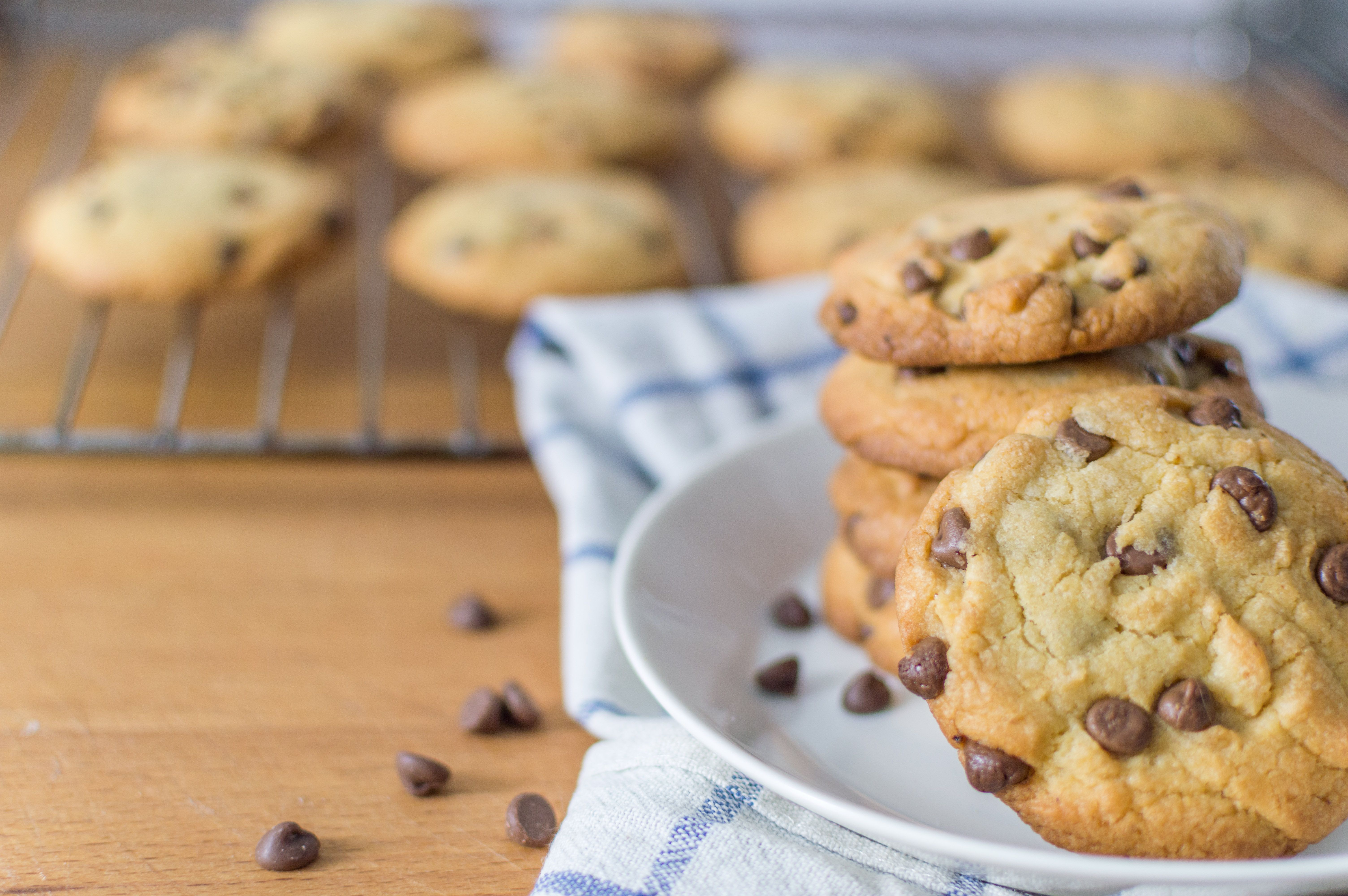 Plate of Chocolate Chip Cookies